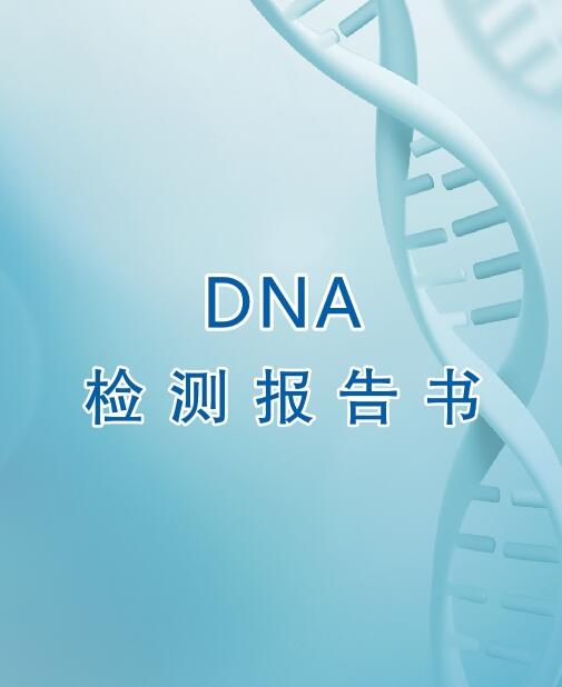 龙岩亲子鉴定流程之出具报告